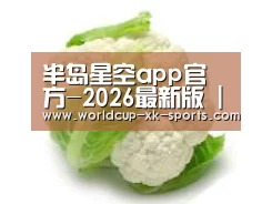 产品名称九