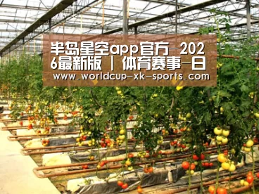 种植基地二(图1)