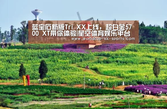 星空体育网址